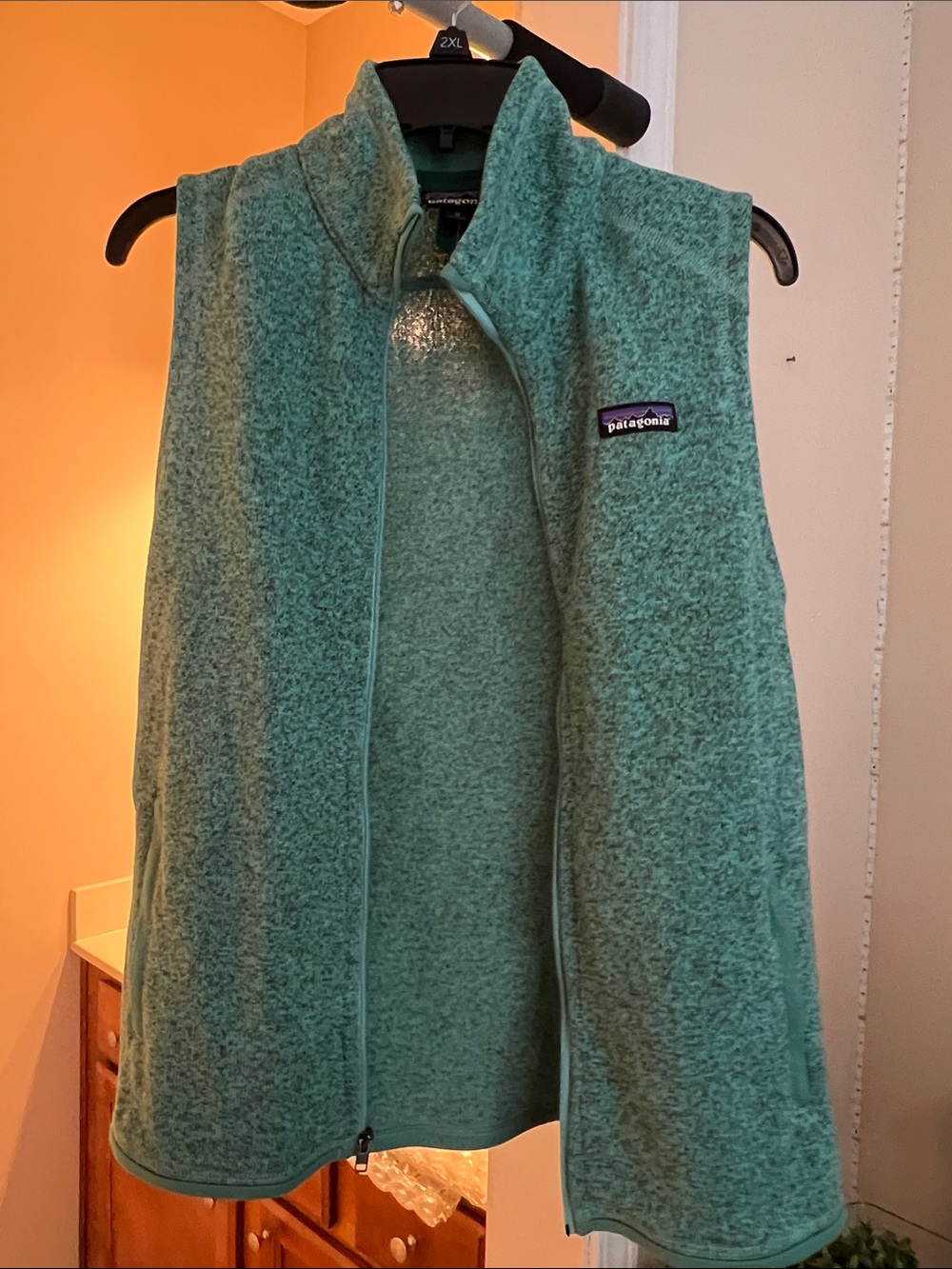 Patagonia Women's Teal Green Fleece Vest